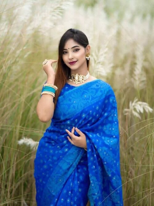 জামদানী শাড়ি