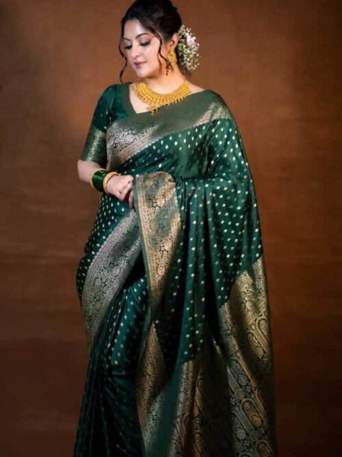 পরিমনি শাড়ি